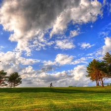 clouds, trees, Bike, viewes, cyclist, Sky, Park, grass