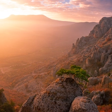 viewes, Mountains, Valley, trees, rocks, pine, Fog