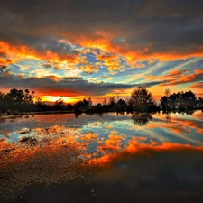 trees, viewes, sun, lake, west