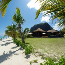 Beaches, Palms, tropic, sea