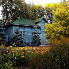 viewes, Bush, garden, trees, Home