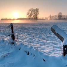 snow, Meadow, viewes, dawn, trees, fence