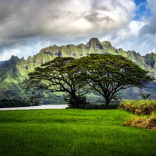 viewes, grass, Mountains, trees, clouds