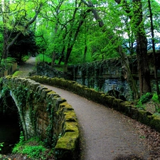 viewes, Moss, Path, trees, Park