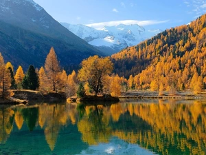 lake, Yellow, reflection, trees, Larches, Mountains, autumn, viewes
