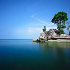 sea, trees, viewes, rocks