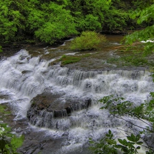 waterfall, trees, viewes, forest