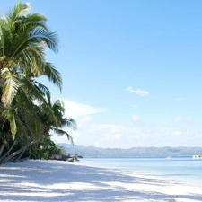 water, Sky, Palms, a man, Sand