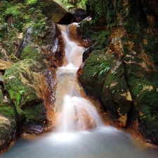 rocks, fern, waterfall, mosses