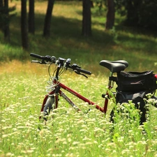 Bike, Flowers, Wildflowers, Meadow