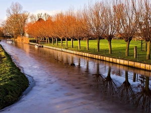 Field, house, sun, Workaround, west, River, Spring, willow