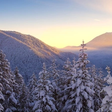Mountains, snow, winter, forest