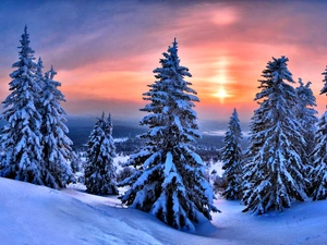 Great Sunsets, Christmas, winter