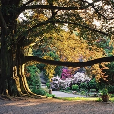 Arboretum, Wojslawice