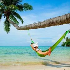 Beaches, Hammock, Women, Palm