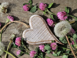 wood, Pendant, Heart, twine, dandelions, boarding, Flowers, clover, Pink