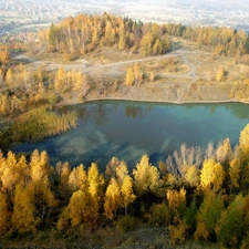birch, autumn, Yellow, Houses, Leaf, lake